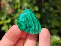 Polished Flower Banded Malachite Free Forms x 35 From Congo