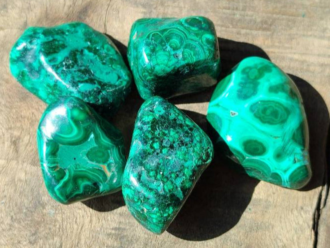 Polished Flower Banded Malachite Free Forms x 35 From Congo - Toprock Gemstones and Minerals 