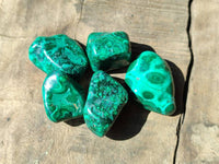 Polished Flower Banded Malachite Free Forms x 35 From Congo