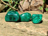 Polished Flower Banded Malachite Free Forms x 35 From Congo