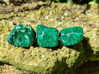 Polished Flower Banded Malachite Free Forms x 35 From Congo