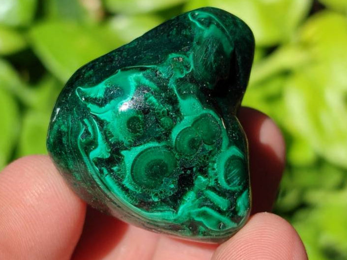 Polished Flower Banded Malachite Free Forms x 35 From Congo - Toprock Gemstones and Minerals 