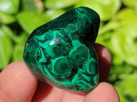 Polished Flower Banded Malachite Free Forms x 35 From Congo