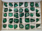 Polished Flower Banded Malachite Free Forms x 35 From Congo - Toprock Gemstones and Minerals 