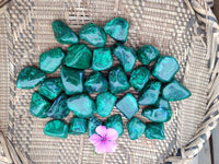 Polished Flower Banded Malachite Free Forms x 35 From Congo