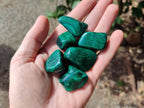 Polished Flower Banded Malachite Free Forms x 35 From Congo - Toprock Gemstones and Minerals 