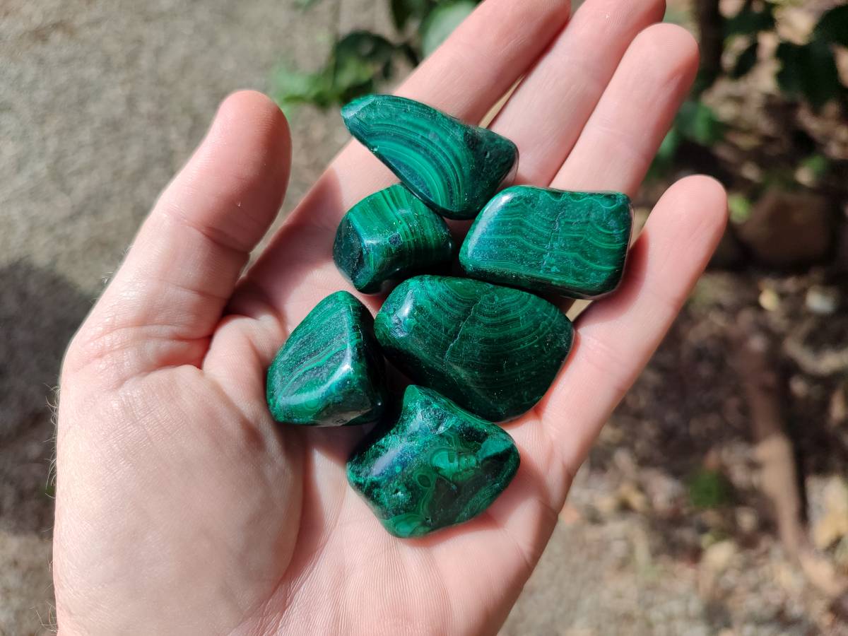 Polished Flower Banded Malachite Free Forms x 35 From Congo - Toprock Gemstones and Minerals 