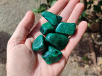 Polished Flower Banded Malachite Free Forms x 35 From Congo