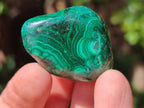 Polished Flower Banded Malachite Free Forms x 35 From Congo - Toprock Gemstones and Minerals 