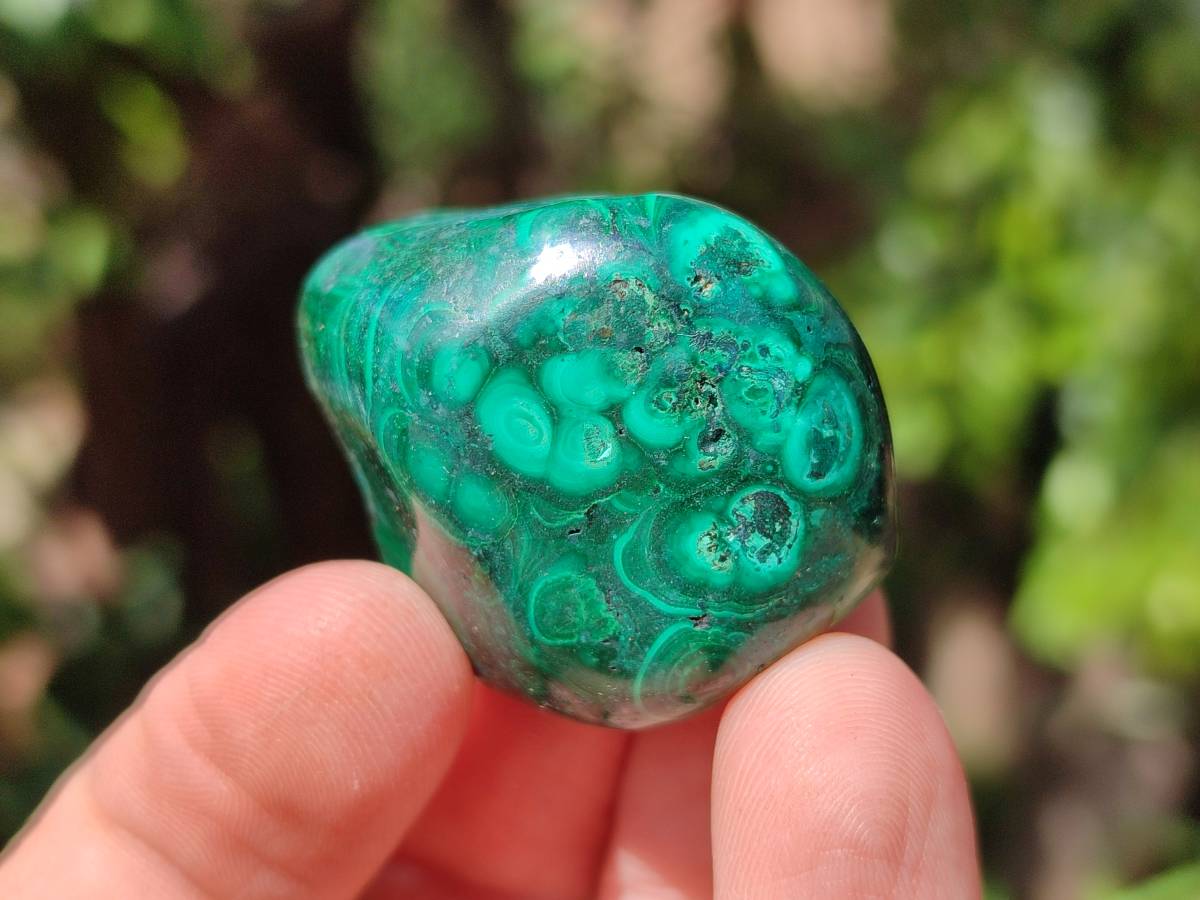 Polished Flower Banded Malachite Free Forms x 35 From Congo - Toprock Gemstones and Minerals 