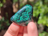 Polished Flower Banded Malachite Free Forms x 35 From Congo