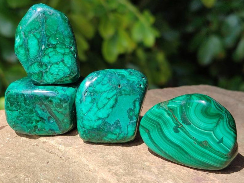 Polished Flower Banded Malachite Free Forms x 35 From Congo - Toprock Gemstones and Minerals 