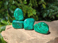 Polished Flower Banded Malachite Free Forms x 35 From Congo