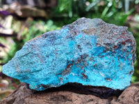 Natural Shattuckite, Chrysocolla And Malachite Specimens x 12 From Koakoveld, Namibia
