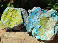 Natural Shattuckite, Chrysocolla And Malachite Specimens x 12 From Koakoveld, Namibia
