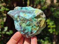 Natural Shattuckite, Chrysocolla And Malachite Specimens x 12 From Koakoveld, Namibia