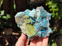 Natural Shattuckite, Chrysocolla And Malachite Specimens x 12 From Koakoveld, Namibia