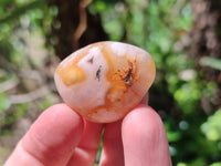 Polished Flower Agate Free Forms x 70 From Antsahalova, Madagascar