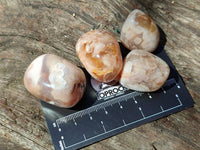 Polished Flower Agate Free Forms x 70 From Antsahalova, Madagascar
