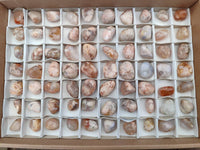 Polished Flower Agate Free Forms x 70 From Antsahalova, Madagascar