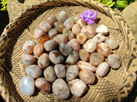 Polished Flower Agate Free Forms x 70 From Antsahalova, Madagascar