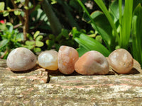 Polished Flower Agate Free Forms x 70 From Antsahalova, Madagascar