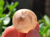 Polished Flower Agate Free Forms x 70 From Antsahalova, Madagascar