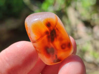 Polished Flower Agate Free Forms x 70 From Antsahalova, Madagascar