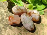 Polished Flower Agate Free Forms x 70 From Antsahalova, Madagascar