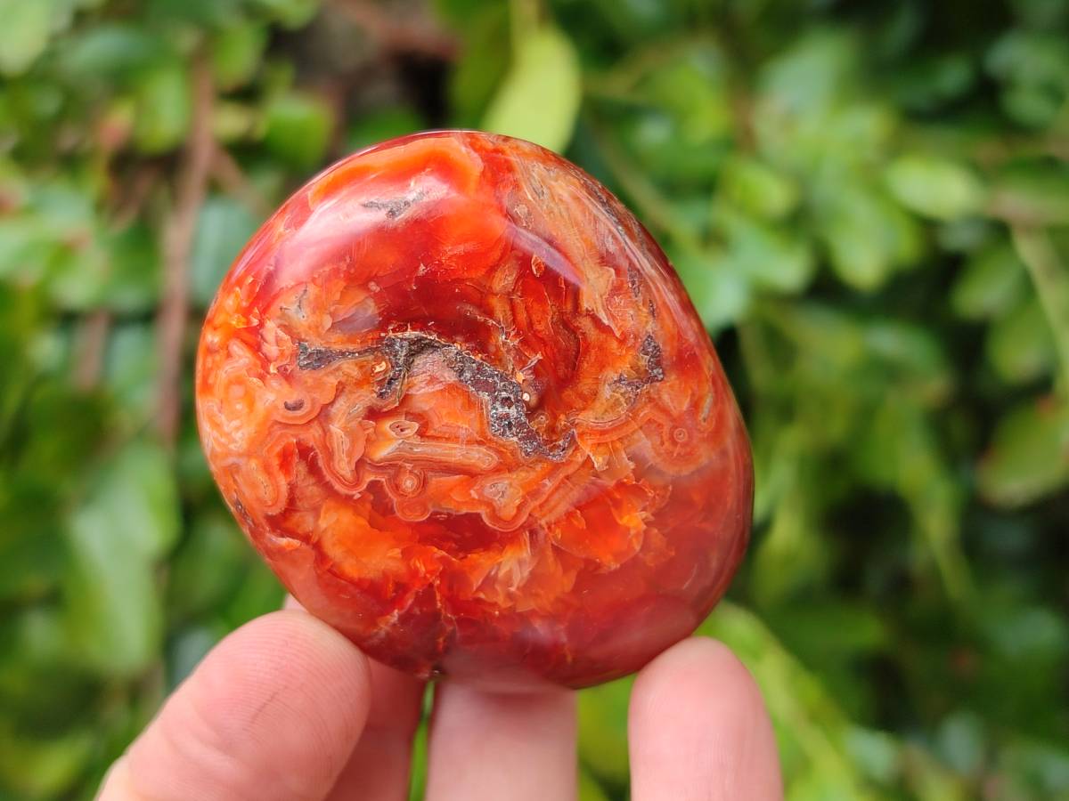 Polished Carnelian Agate Gemstone Galets x 20 From Madagascar - Toprock Gemstones and Minerals 