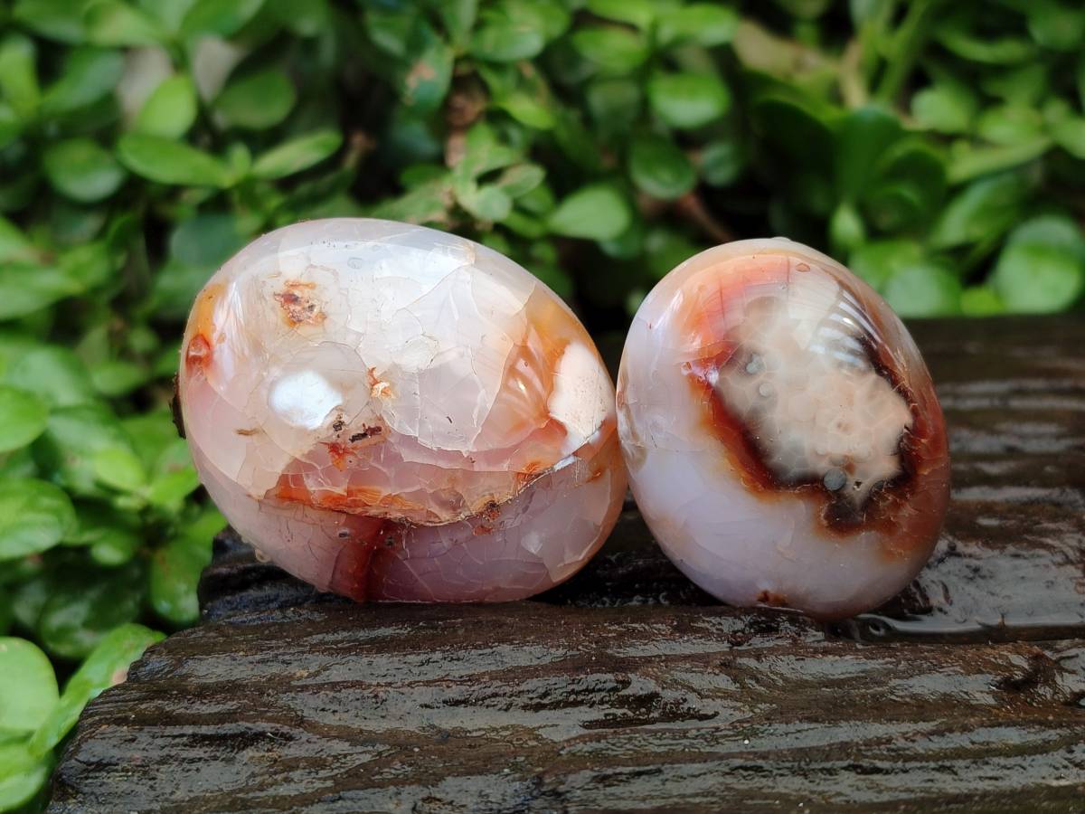 Polished Carnelian Agate Gemstone Galets x 20 From Madagascar - Toprock Gemstones and Minerals 