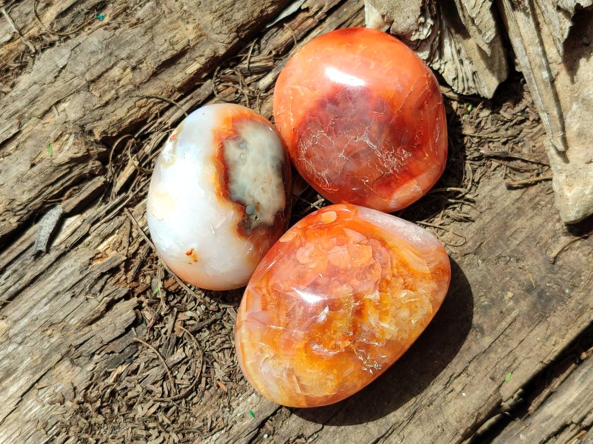 Polished Carnelian Agate Gemstone Galets x 20 From Madagascar - Toprock Gemstones and Minerals 