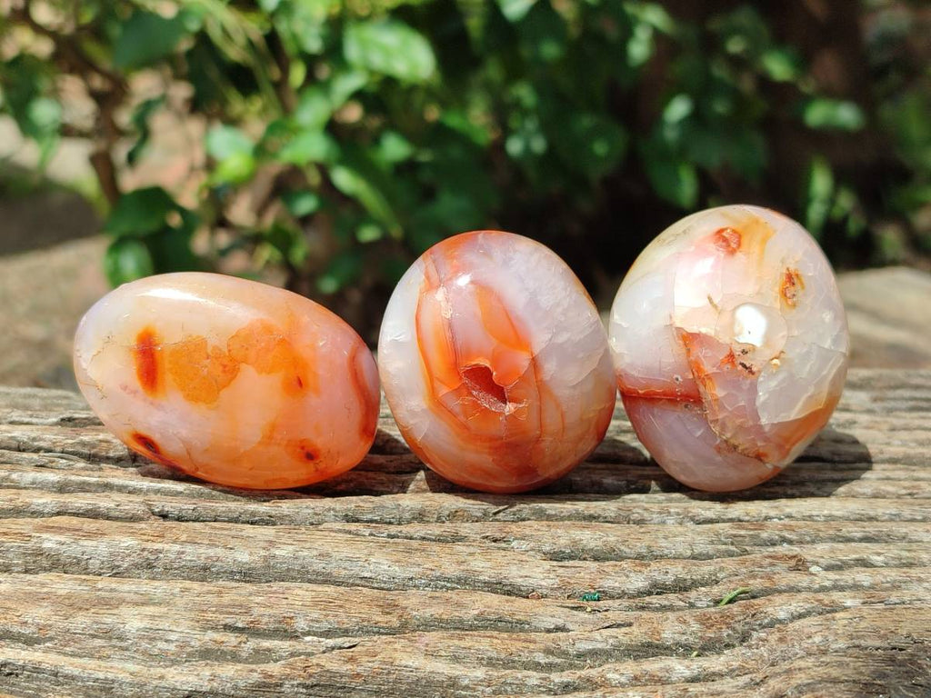 Polished Carnelian Agate Gemstone Galets x 20 From Madagascar - Toprock Gemstones and Minerals 
