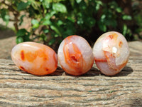 Polished Carnelian Agate Gemstone Galets x 20 From Madagascar