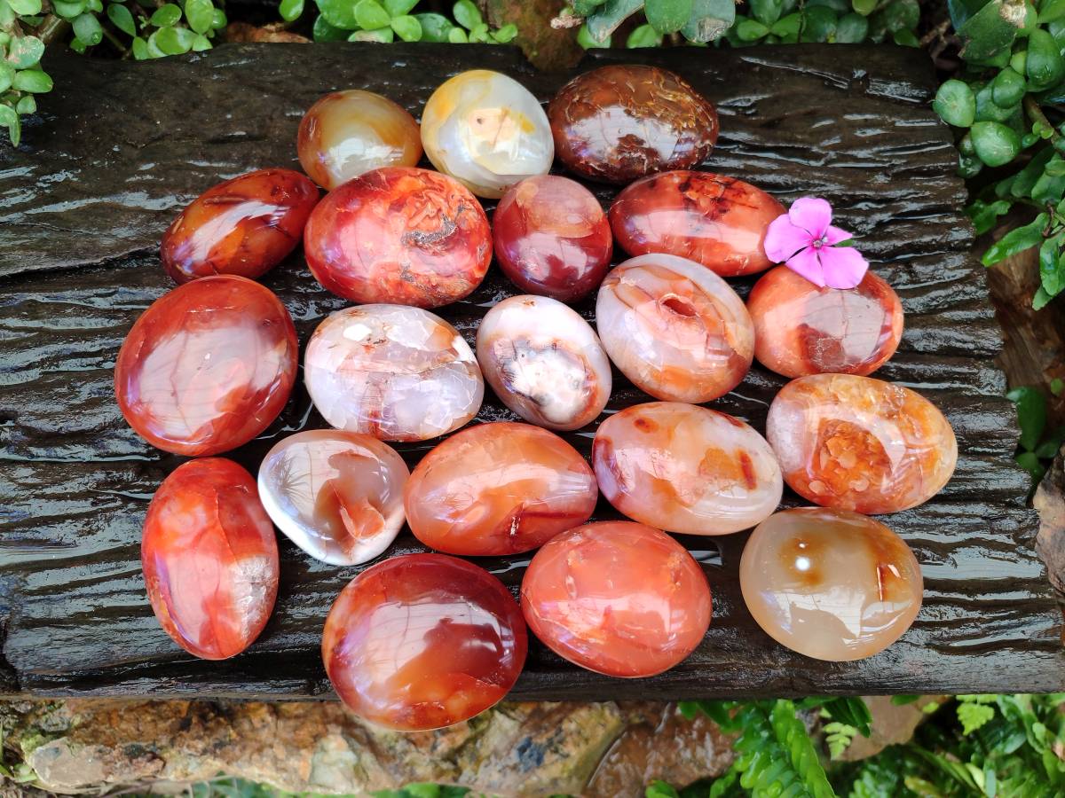 Polished Carnelian Agate Gemstone Galets x 20 From Madagascar - Toprock Gemstones and Minerals 
