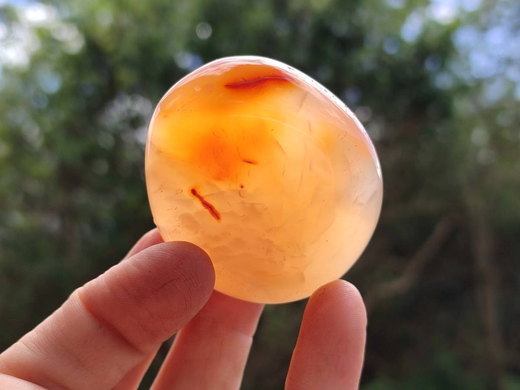 Polished Carnelian Agate Gemstone Galets x 20 From Madagascar - Toprock Gemstones and Minerals 