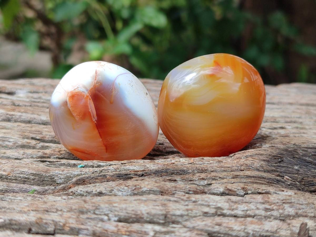 Polished Carnelian Agate Gemstone Galets x 20 From Madagascar - Toprock Gemstones and Minerals 
