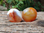 Polished Carnelian Agate Gemstone Galets x 20 From Madagascar - Toprock Gemstones and Minerals 