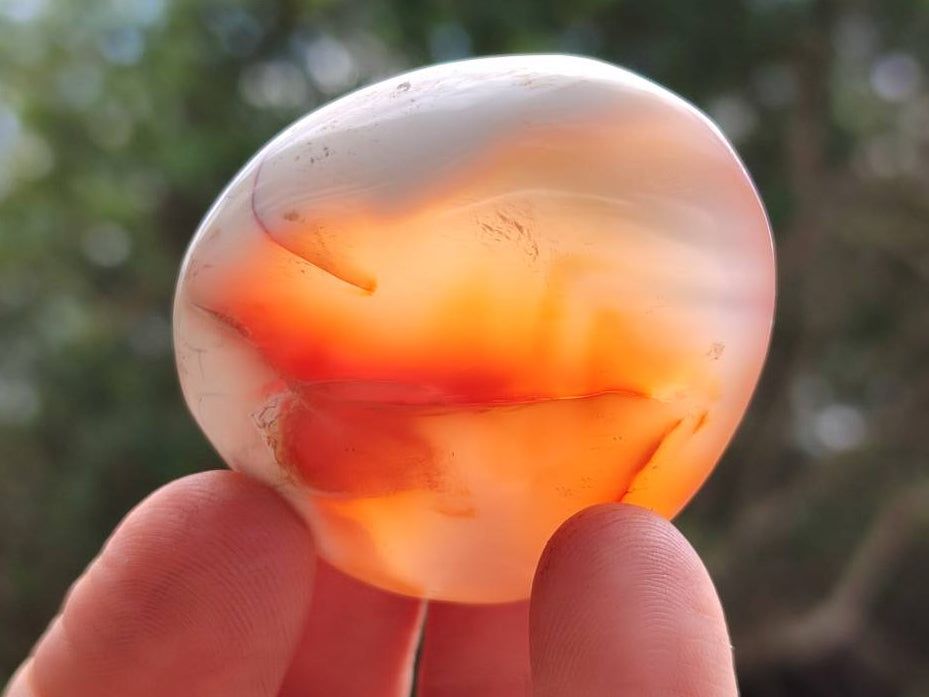 Polished Carnelian Agate Gemstone Galets x 20 From Madagascar - Toprock Gemstones and Minerals 