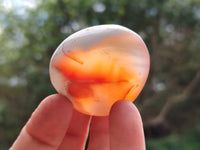 Polished Carnelian Agate Gemstone Galets x 20 From Madagascar