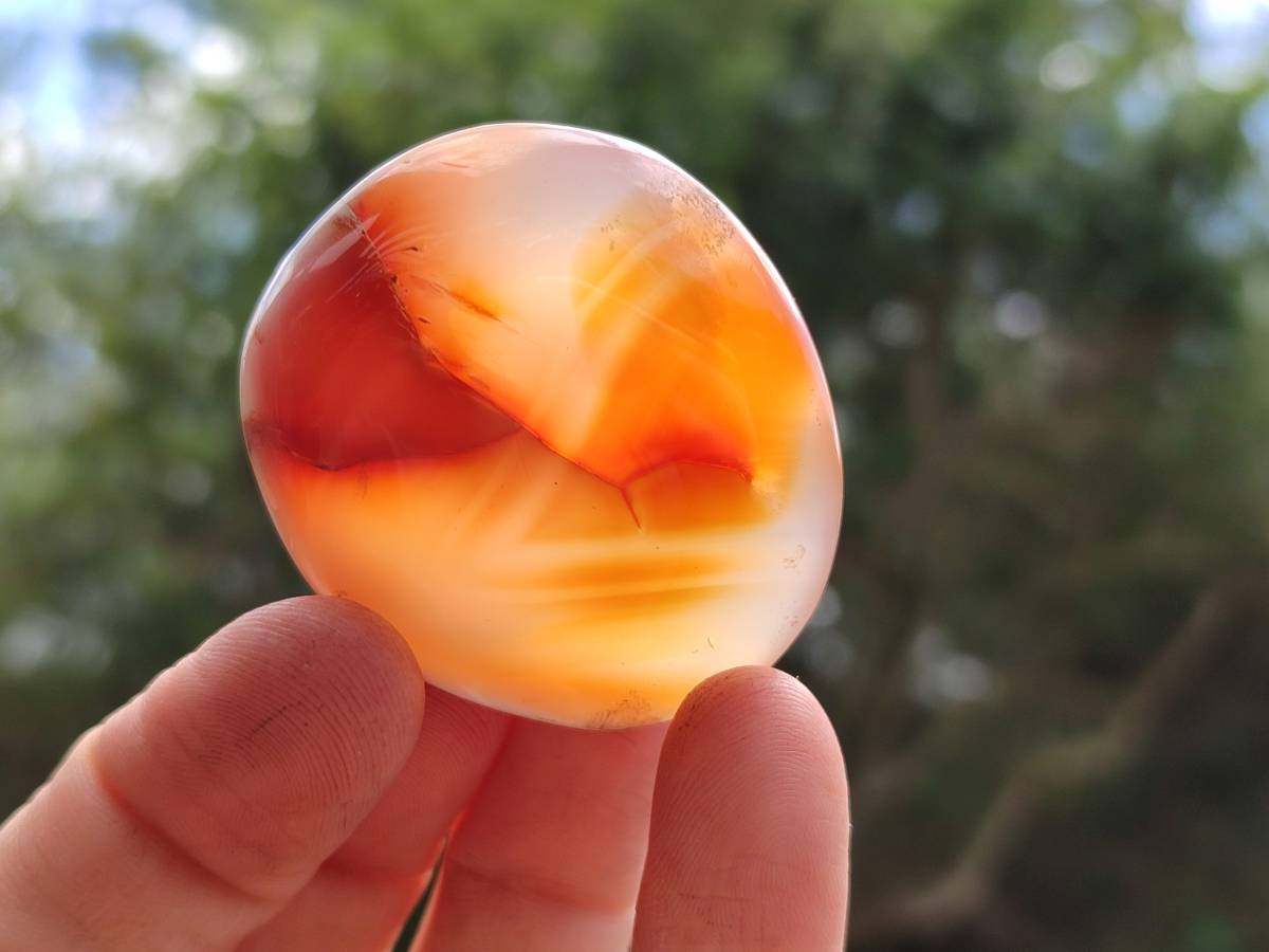Polished Carnelian Agate Gemstone Galets x 20 From Madagascar - Toprock Gemstones and Minerals 