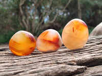 Polished Carnelian Agate Gemstone Galets x 20 From Madagascar