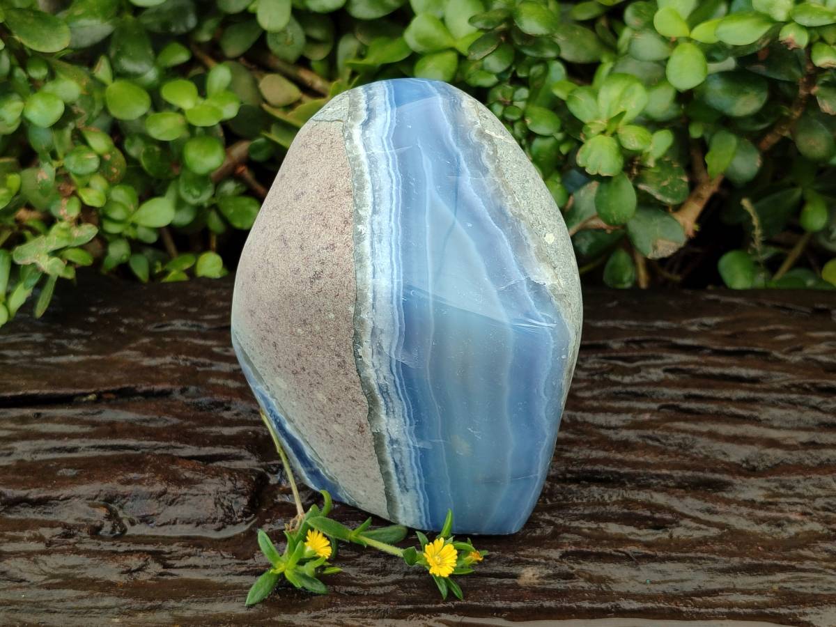 Polished Blue Lace Agate Standing Free Form x 1 From Nsanje, Malawi - Toprock Gemstones and Minerals 
