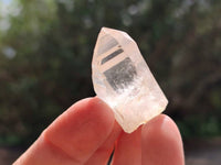 Natural Clear Quartz Single Crystals x 1.74 kg Lot From Mpika, Zambia
