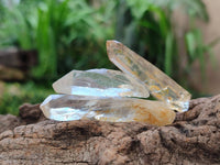Natural Clear Quartz Single Crystals x 1.74 kg Lot From Mpika, Zambia