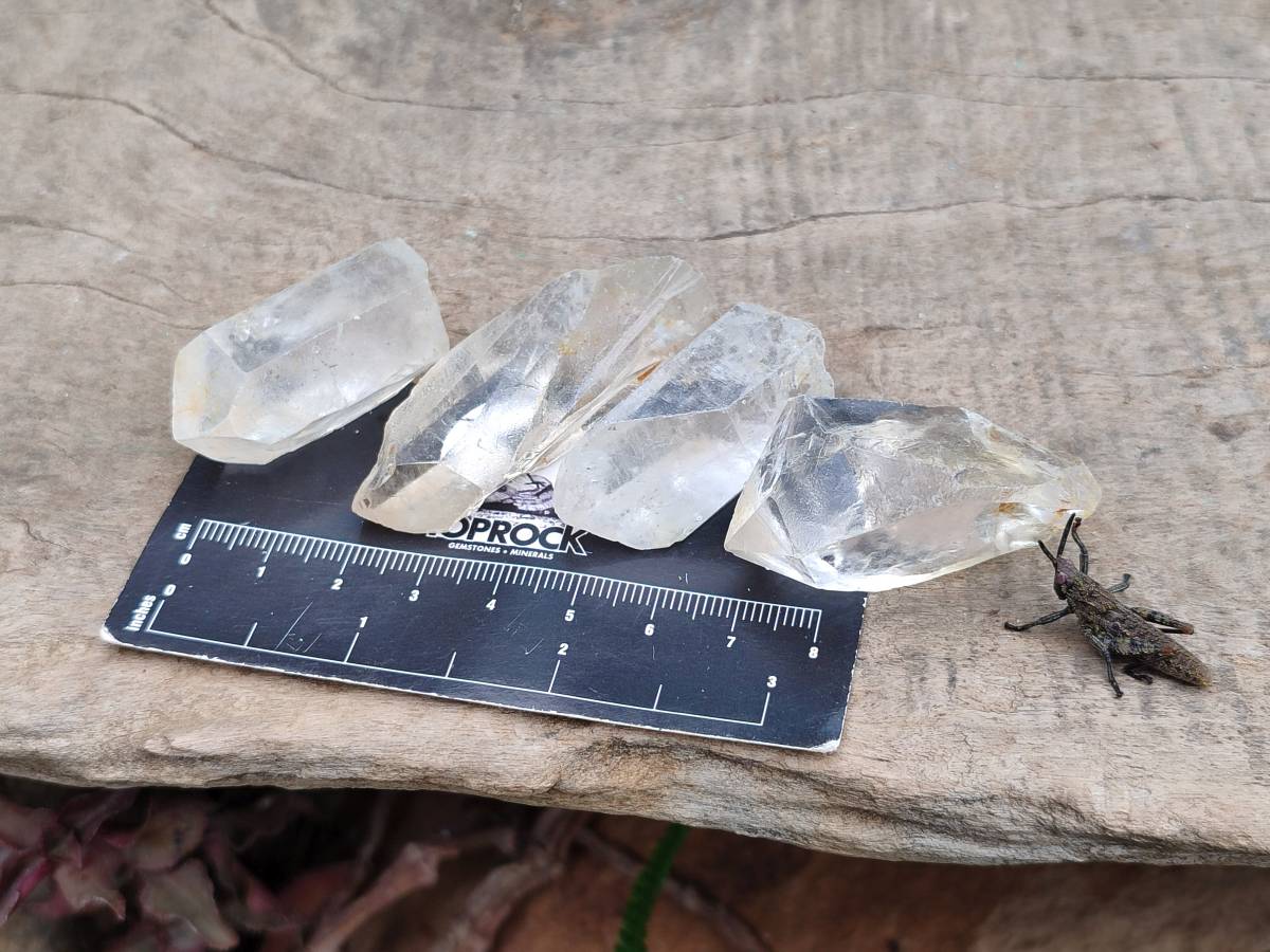 Natural Clear Quartz Single Crystals x 1.74 kg Lot From Mpika, Zambia - Toprock Gemstones and Minerals 
