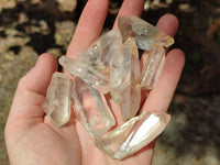 Natural Clear Quartz Single Crystals x 1.74 kg Lot From Mpika, Zambia