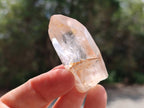 Natural Clear Quartz Single Crystals x 1.74 kg Lot From Mpika, Zambia - Toprock Gemstones and Minerals 