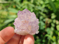 Natural Small Sunburst Cactus Flower Amethyst Spirit Clusters x 35 From South Africa