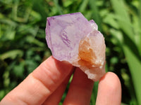 Natural Small Sunburst Cactus Flower Amethyst Spirit Clusters x 35 From South Africa